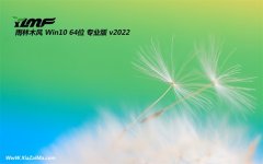 雨林木风win10最新64位功能王牌版v2022.06