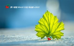 新萝卜家园32位win10清爽迷你版v2022.06