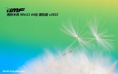 雨林木风win11精选家用版64位v2022.06免激活